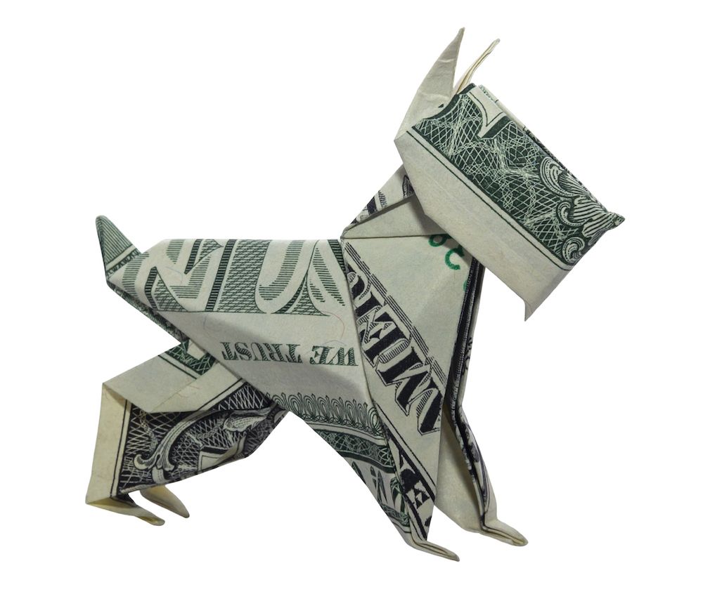 The Business of Show Dogs